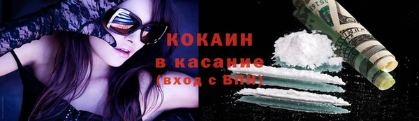 стафф Алзамай