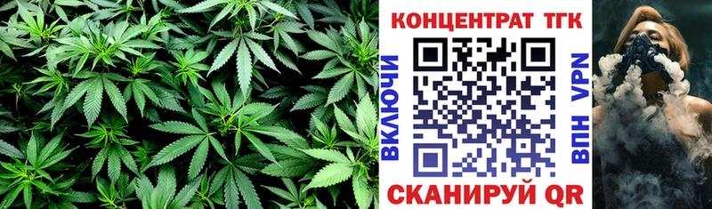 ссылка на мегу tor  Монино  Дистиллят ТГК гашишное масло  наркошоп 