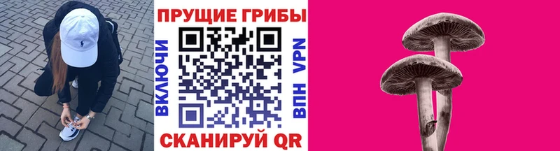 Псилоцибиновые грибы прущие грибы дарнет шоп Монино